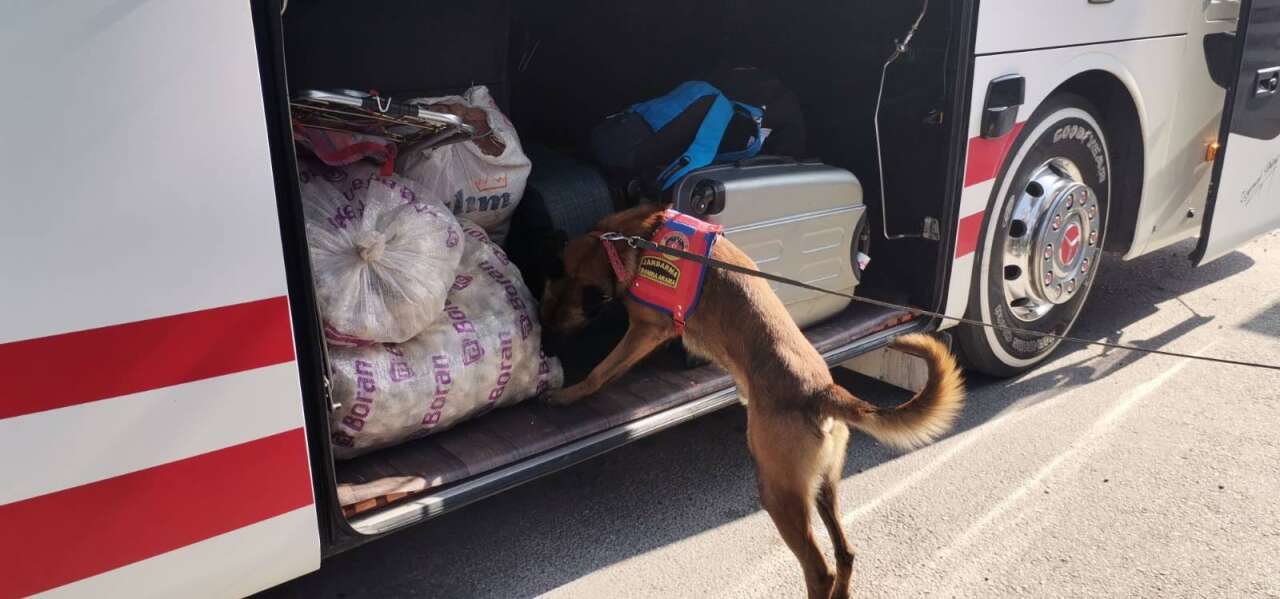 whatsapp-image-2026-03-30-at-12-09-47