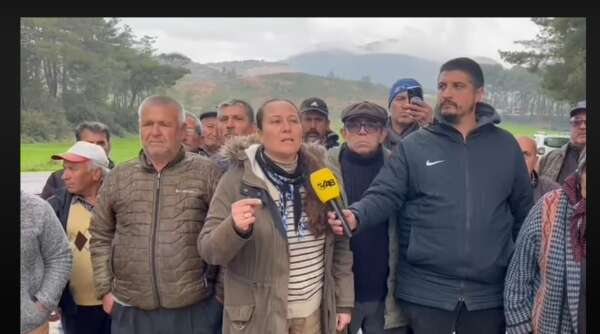 whatsapp-image-2026-03-31-at-17-51-02