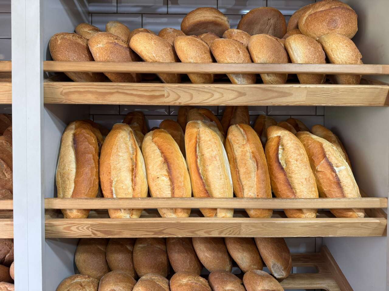 whatsapp-image-2026-04-01-at-12-50-42-1