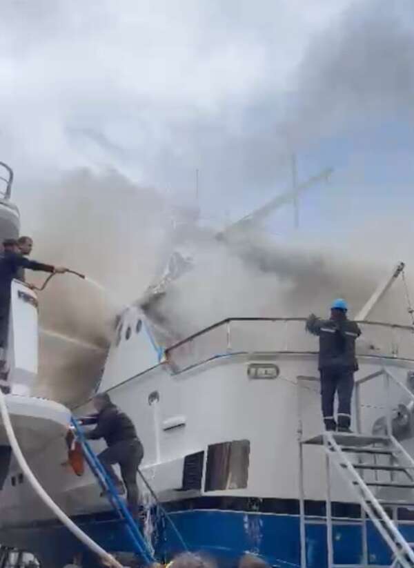 whatsapp-image-2026-04-03-at-11-25-09