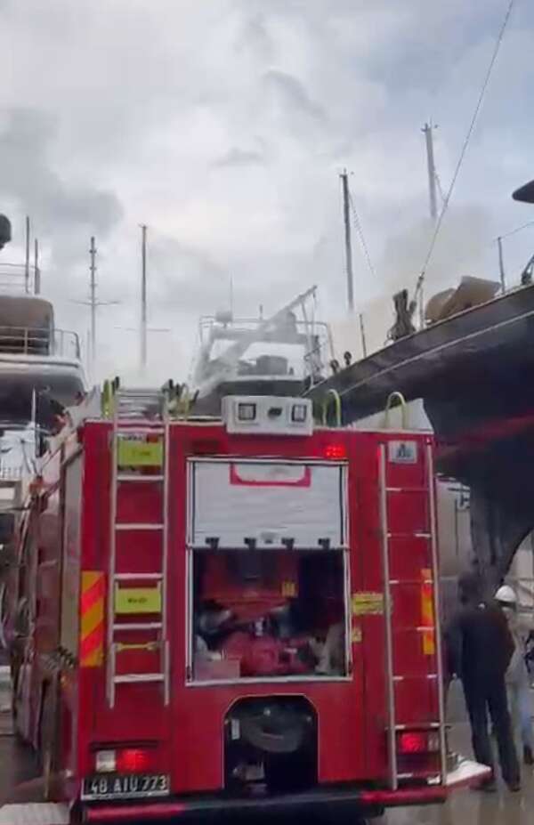 whatsapp-image-2026-04-03-at-11-25-10