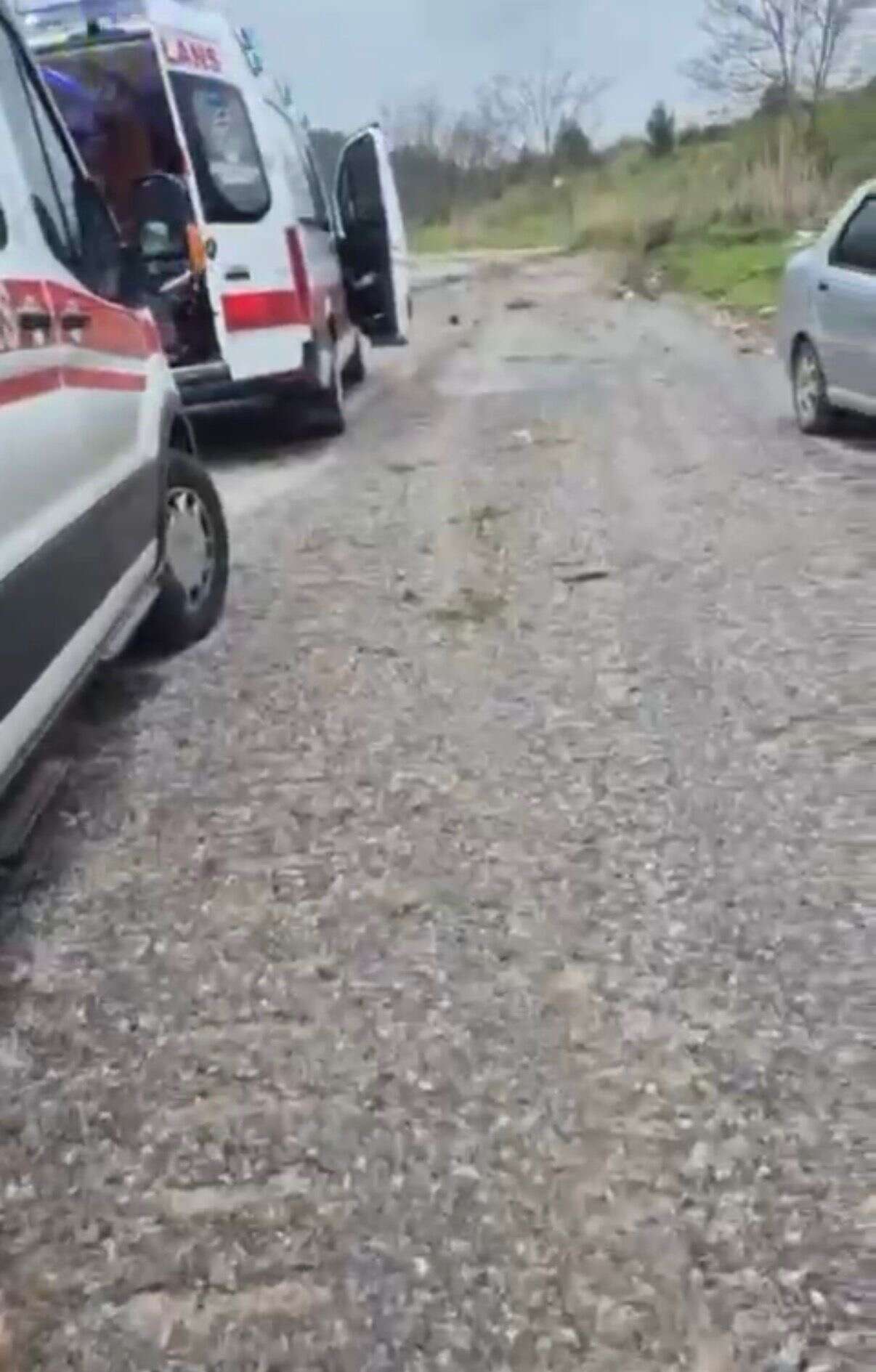 1f0a40f2-5c9b-4ea5-8f9c-4bb2c85a0408