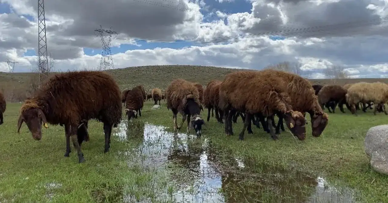 aylik-120-bin-tl-maas-veriyorlar-ama-isci-bulamiyorlar-sabahtan-aksama-kadar-dagdayiz-3292741-202604061218-1