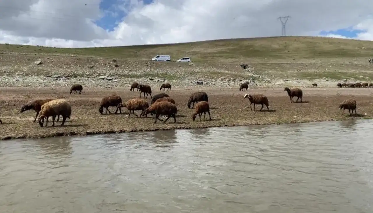 aylik-120-bin-tl-maas-veriyorlar-ama-isci-bulamiyorlar-sabahtan-aksama-kadar-dagdayiz-3292741-202604061218-2