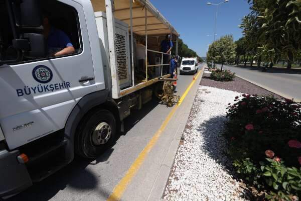 whatsapp-image-2026-04-06-at-12-00-30