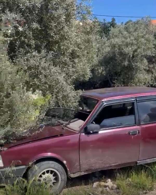 whatsapp-image-2026-04-07-at-11-25-49-1