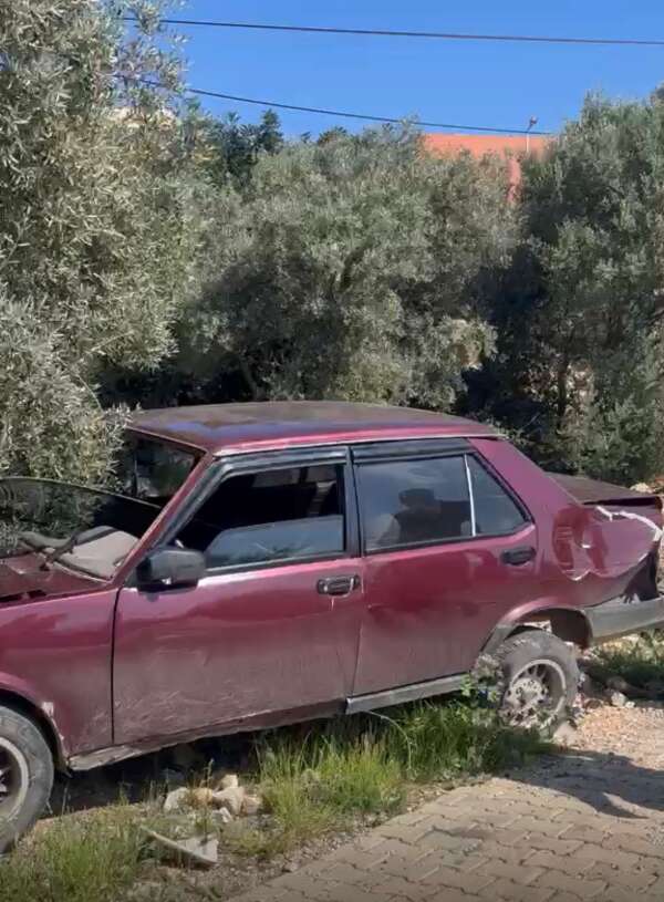 whatsapp-image-2026-04-07-at-11-25-49