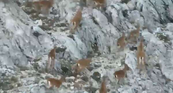 whatsapp-image-2026-04-08-at-13-34-35-1