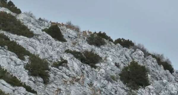 whatsapp-image-2026-04-08-at-13-34-35