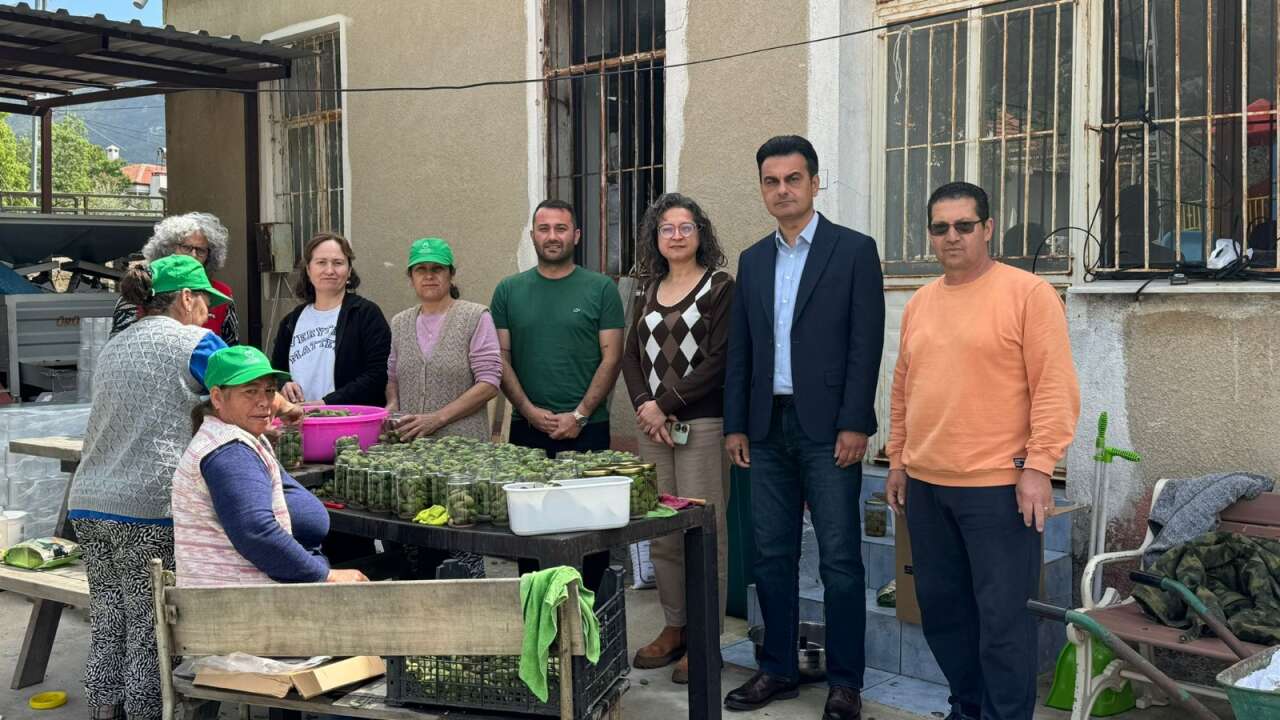 whatsapp-image-2026-04-15-at-10-54-59-1