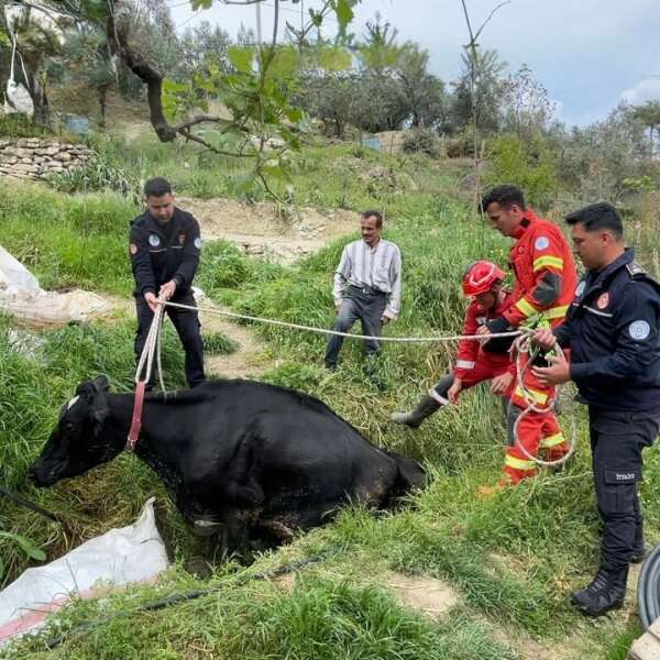 whatsapp-image-2026-04-17-at-16-04-46