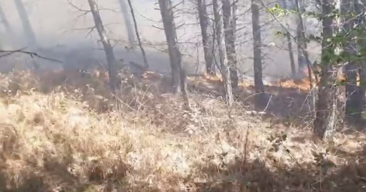 ekran-resmi-2026-04-27-12-18-12