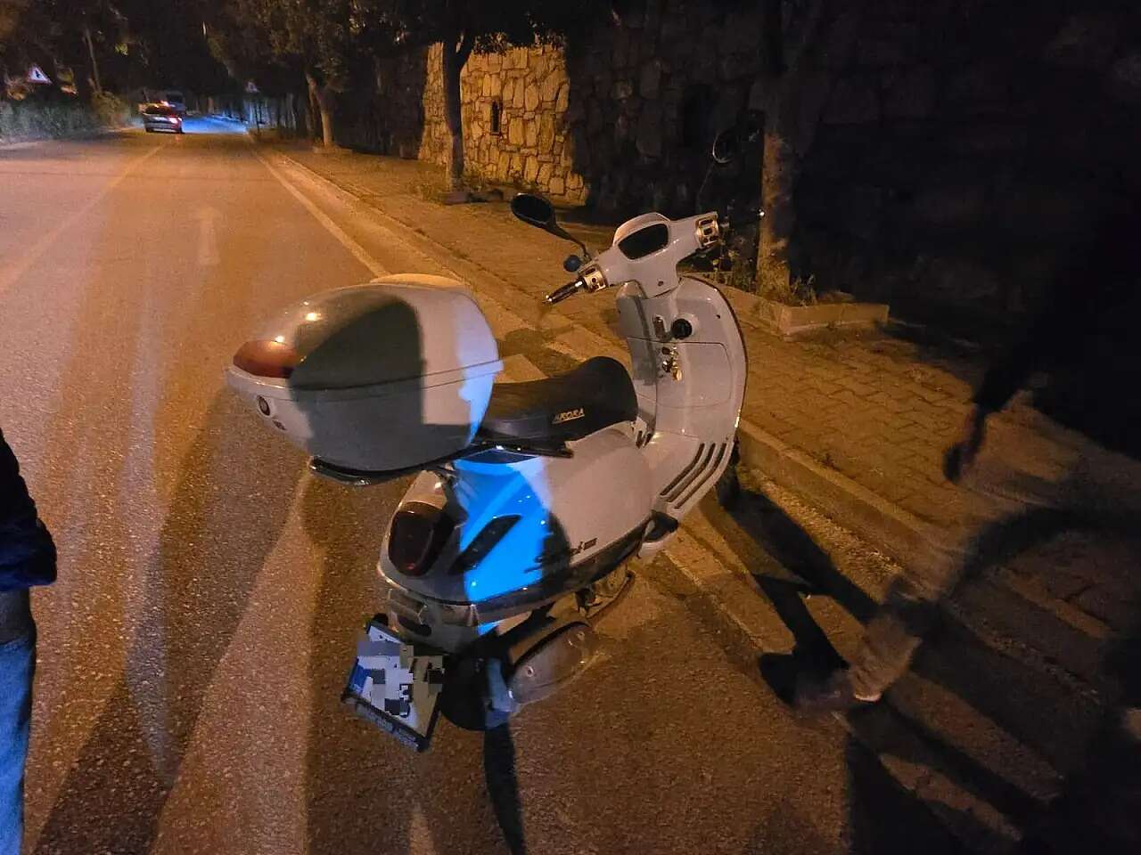 kedi3