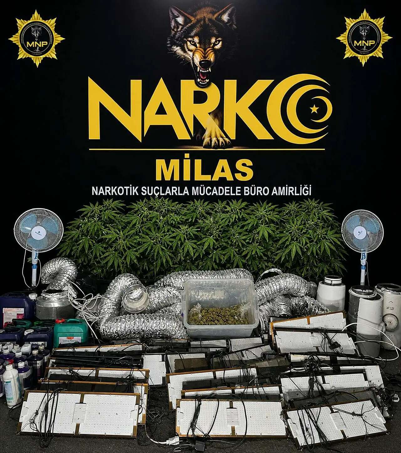 milas