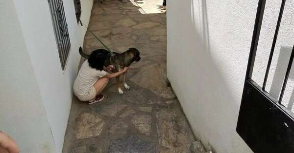 whatsapp-image-2026-05-10-at-13-49-46-2