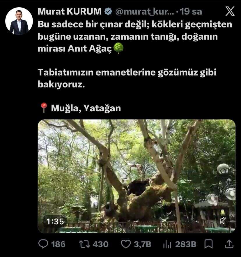 whatsapp-image-2026-05-31-at-12-48-31