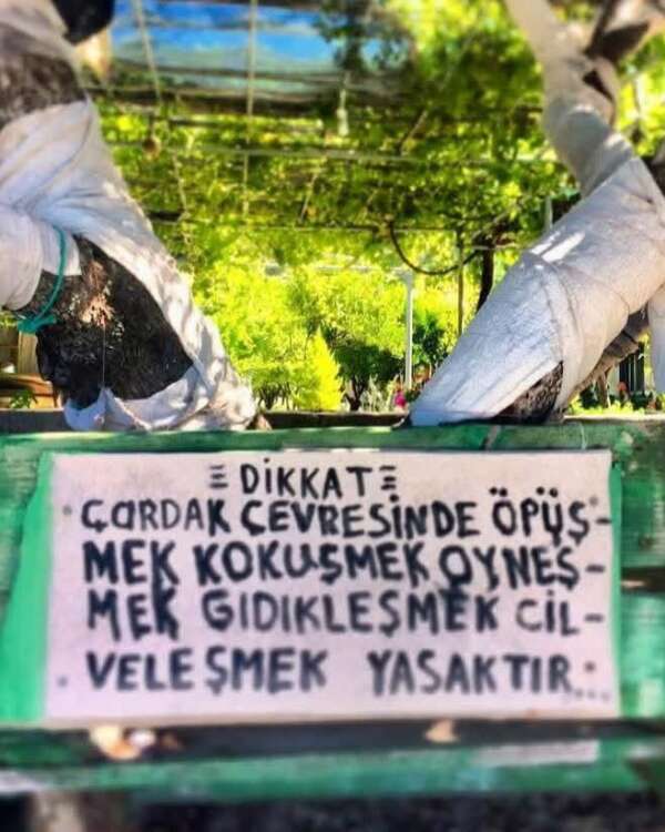 isimsiz