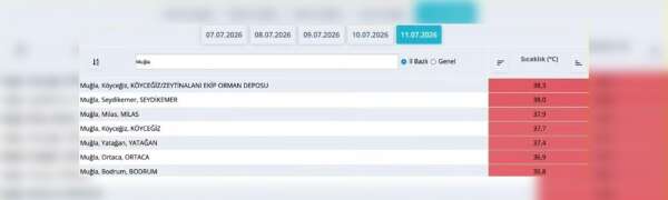 whatsapp-image-2026-07-12-at-17-04-09