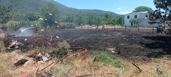 whatsapp-image-2026-07-16-at-14-10-58