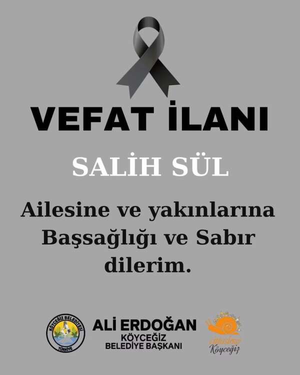 whatsapp-image-2026-07-25-at-15-26-46