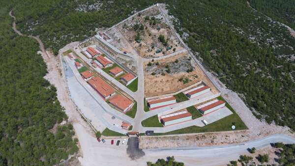 buyuksehir-barinaginda-26-bin-529-hayvan-tedavi-edildi-5