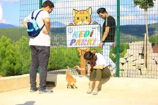 images-22